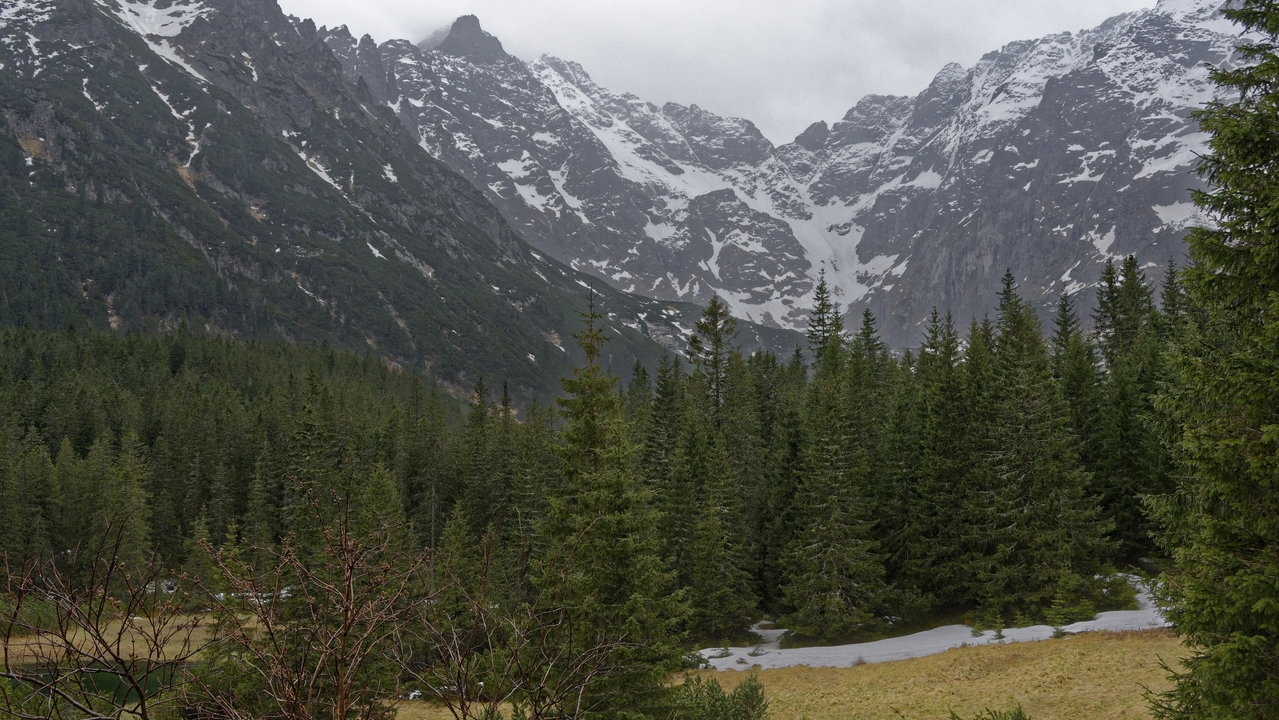 20160513-114439••Zakopane•Lesser Poland Voivodeship•Poland